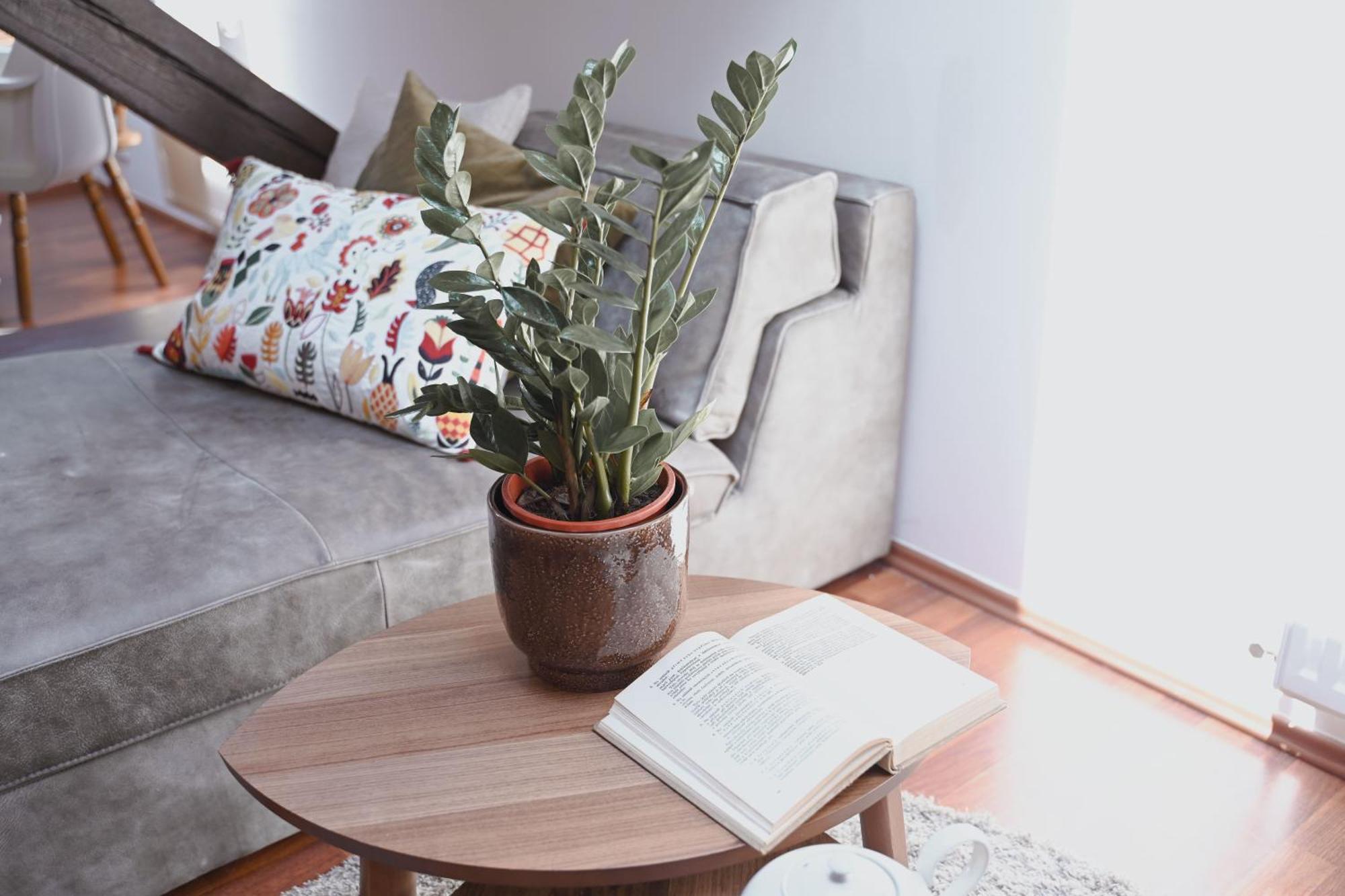 Bohemian Symphony Appartement Praag Buitenkant foto